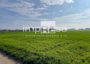 Foto 4 - Terreno agricolo Jesolo - foto 2