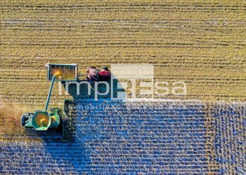 Foto 8 - Terreno agricolo via murazzetta
 
2, Eraclea - foto 8
