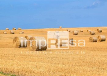 Foto 10 - Terreno agricolo via murazzetta
 
2, Eraclea - foto 10