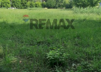 Giardino - Terreno agricolo Minturno - foto 2