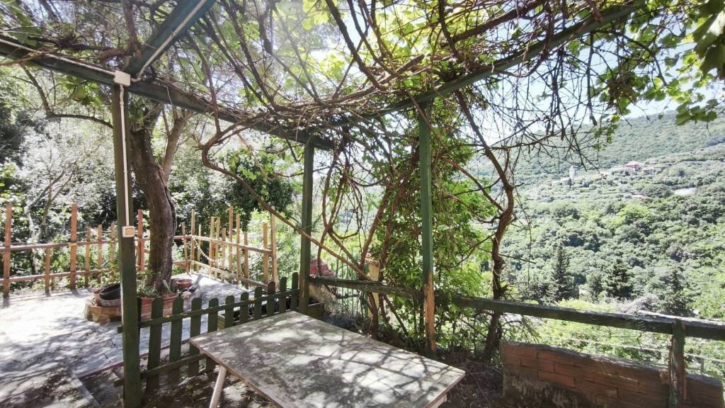 Giardino - Apartment via Ca' De Mussi, Genova (neighborhood Marassi) - photo 3