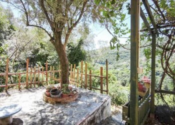 Giardino - Apartment via Ca' De Mussi, Genova (neighborhood Marassi) - photo 2
