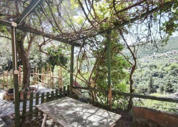 Giardino - Apartment via Ca' De Mussi, Genova (neighborhood Marassi) - photo 3