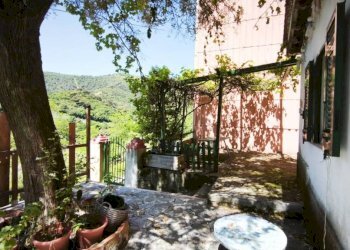 Giardino - Apartment via Ca' De Mussi, Genova (neighborhood Marassi) - photo 5