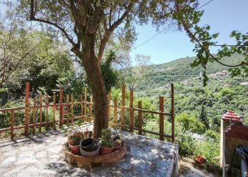 Giardino - Apartment via Ca' De Mussi, Genova (neighborhood Marassi) - photo 43