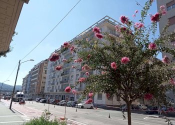 stabile - Terreno non edificabile via Filadelfia, 29, Torino (zona Santa Rita) - foto 1