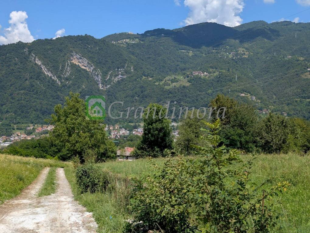 Terreno - Villa Zogno - foto 1