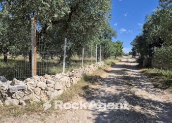 Terreno - Rustic viale Pandolfelli, Andria - photo 10