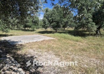 Terreno - Rustic viale Pandolfelli, Andria - photo 13