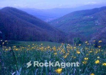 Vista - Commercial Activity via Piave, Borgo Val di Taro - photo 4