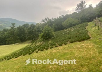 Terreno - Commercial Activity via Piave, Borgo Val di Taro - photo 5