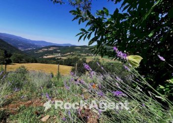 Terreno - Commercial Activity via Piave, Borgo Val di Taro - photo 8