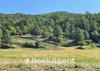 Terreno - Commercial Activity via Piave, Borgo Val di Taro - photo 14