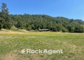 Terreno - Commercial Activity via Piave, Borgo Val di Taro - photo 16