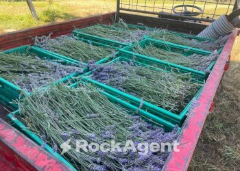 Terreno - Commercial Activity via Piave, Borgo Val di Taro - photo 17
