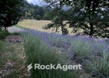 Terreno - Commercial Activity via Piave, Borgo Val di Taro - photo 18