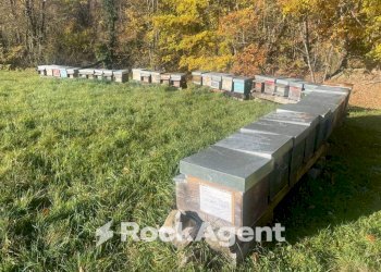Terreno - Commercial Activity via Piave, Borgo Val di Taro - photo 21