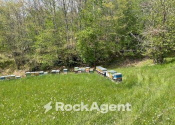 Terreno - Commercial Activity via Piave, Borgo Val di Taro - photo 24