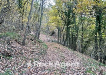 Terreno - Commercial Activity via Piave, Borgo Val di Taro - photo 25