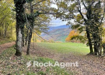 Terreno - Commercial Activity via Piave, Borgo Val di Taro - photo 21