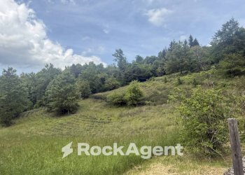 Terreno - Commercial Activity via Piave, Borgo Val di Taro - photo 27