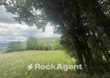 Terreno - Commercial Activity via Piave, Borgo Val di Taro - photo 28
