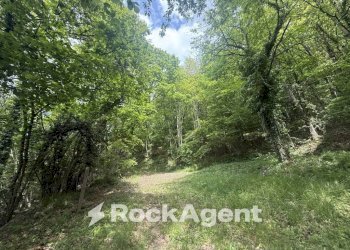 Terreno - Commercial Activity via Piave, Borgo Val di Taro - photo 32
