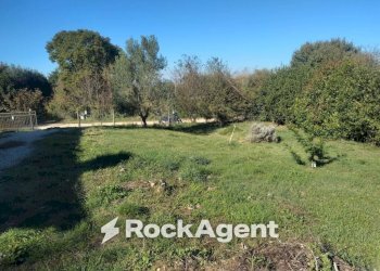 Terreno - Villa via dei Piani, 253, Nepi - photo 31