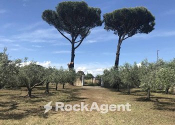 Terreno - Villa via Borgomanero, 36, Roma - foto 13