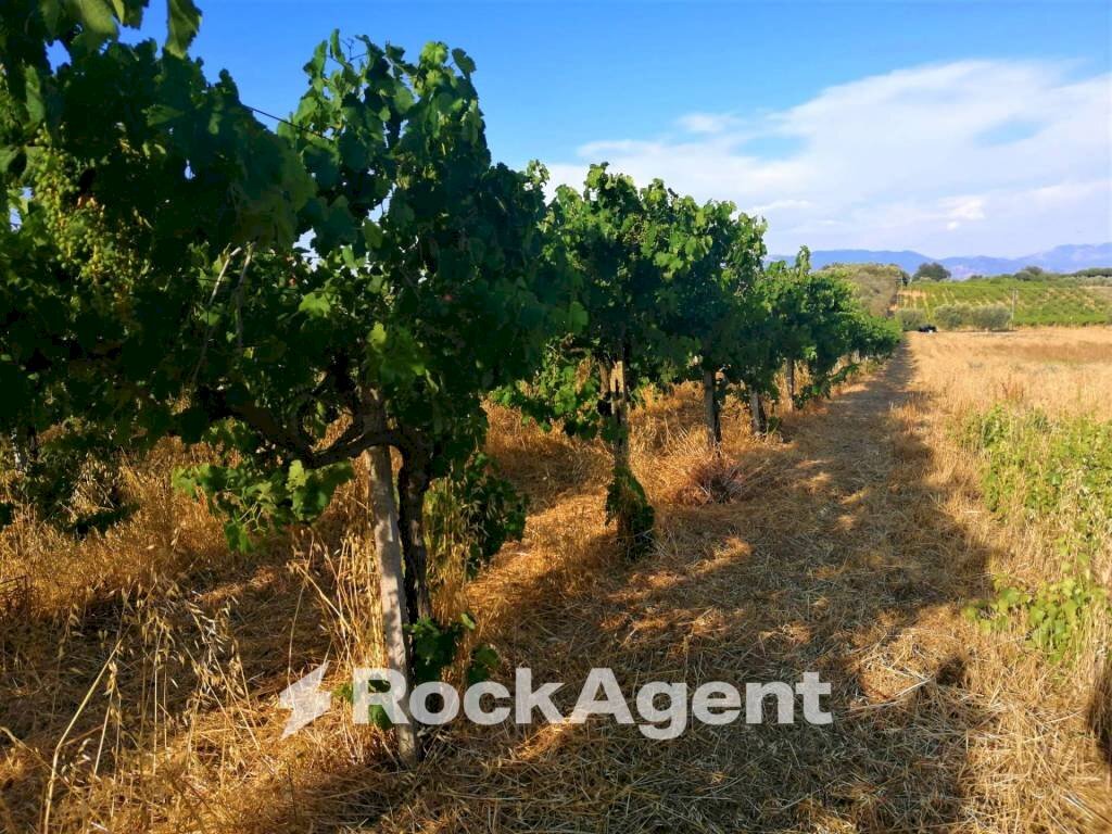 Terreno - Terreno agricolo via Formale Rotondo, Lanuvio - foto 1