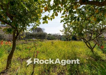 Terreno - Independent house via Tremonti, 18, Pedara - photo 28
