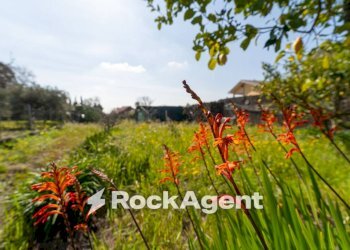 Terreno - Casa indipendente via Tremonti, 18, Pedara - foto 11