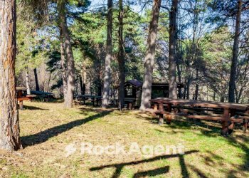 Terreno - Rustic Borgata Veneria, 36, Giaveno - photo 33