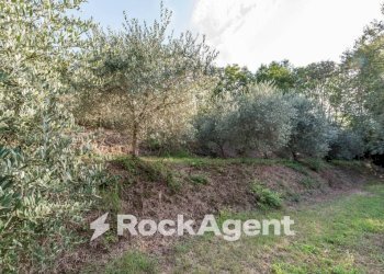 Terreno - Villa via Chiesa Tramonte, 11, Teolo - foto 37