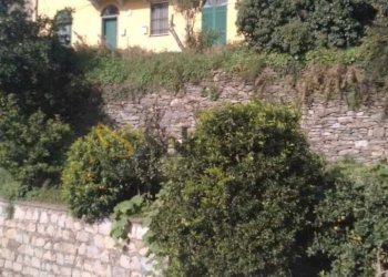 WhatsApp Image 2026-05-12 at 17.07.58.jpg - Three-room apartment Carasco - photo 22