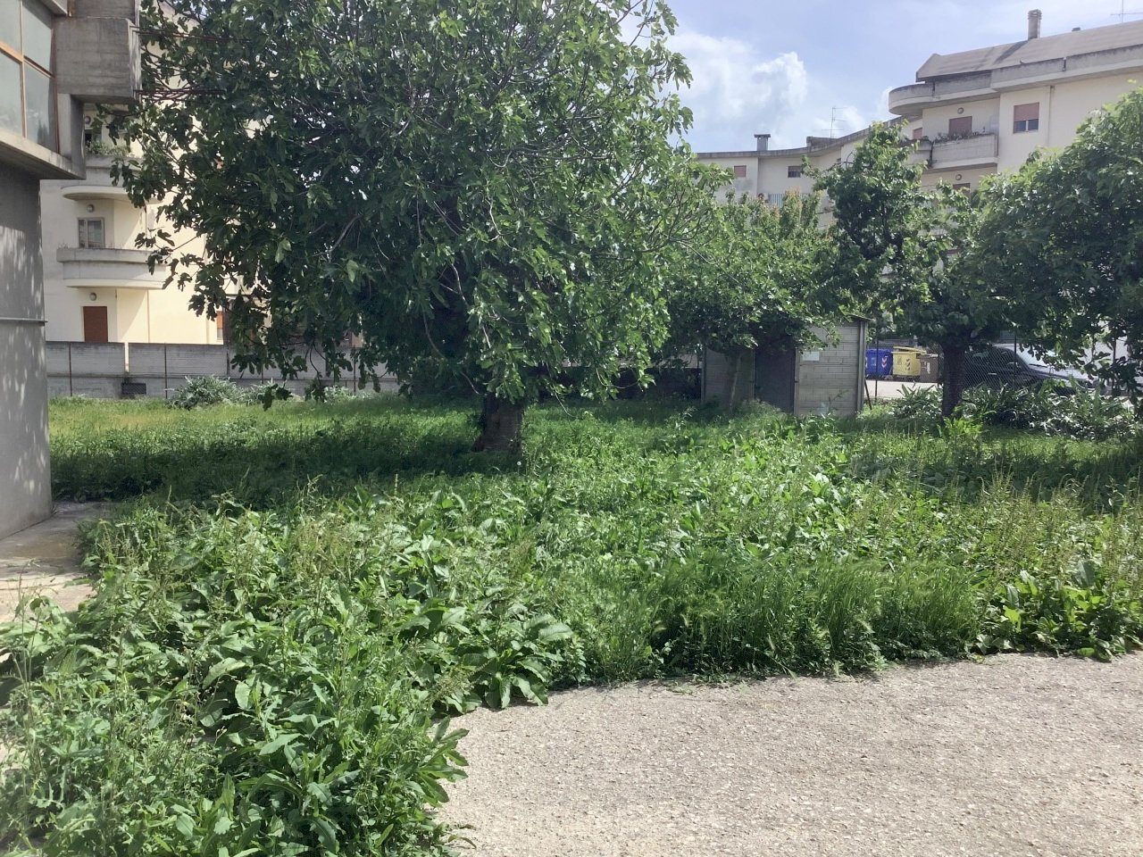 Complesso artigianale e commerciale Dileoimmobilia - Terreno edificabile Monsampolo del Tronto - foto 3