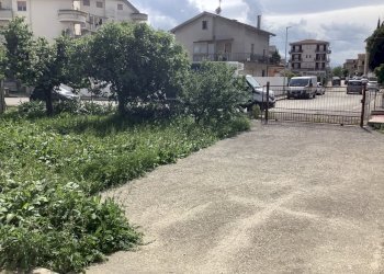 Complesso artigianale e commerciale Dileoimmobilia - Terreno edificabile Monsampolo del Tronto - foto 2
