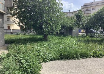 Complesso artigianale e commerciale Dileoimmobilia - Terreno edificabile Monsampolo del Tronto - foto 3