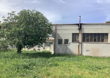 Complesso artigianale e commerciale Dileoimmobilia - Stabile - Palazzo Monsampolo del Tronto - foto 6
