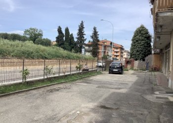 IMG_0314.jpg - Stabile - Palazzo Monsampolo del Tronto - foto 23
