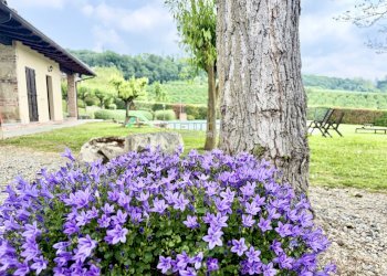 Giardino - Trilocale Via Ca' Intersenga, 3, Vignale Monferrato - foto 28