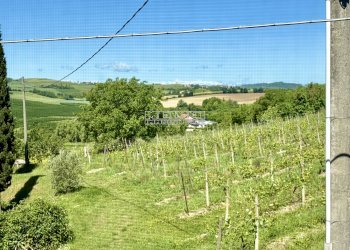 Vista - Trilocale Via Ca' Intersenga, 3, Vignale Monferrato - foto 32