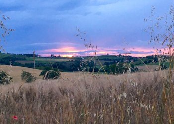 Vista - Trilocale Via Ca' Intersenga, 3, Vignale Monferrato - foto 34