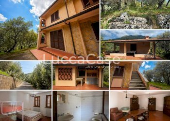 Villa Camaiore - photo 9