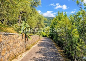 Villa Camaiore - photo 10