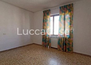 Independent house Lucca (neighborhood San Concordio Contrada) - photo 3