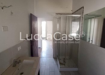 Independent house Lucca (neighborhood San Concordio Contrada) - photo 6