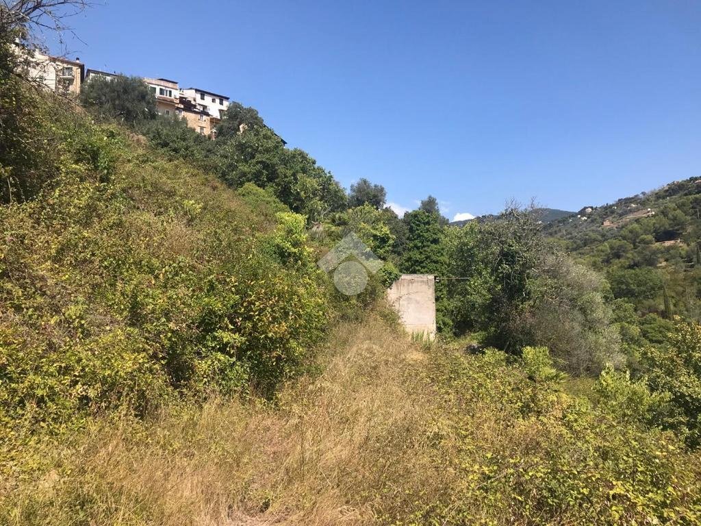 Rustico Via giovanni XXIII, Vallebona - foto 2