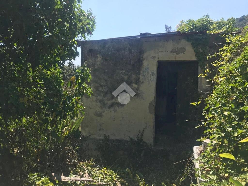Rustico Via giovanni XXIII, Vallebona - foto 3