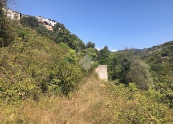 Rustico Via giovanni XXIII, Vallebona - foto 2
